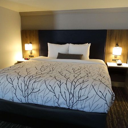 Best Western Premier Denver East الغرفة الصورة